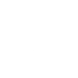Long-Term Sustainability